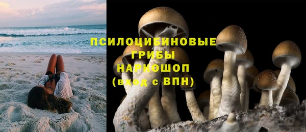 ешки Абаза