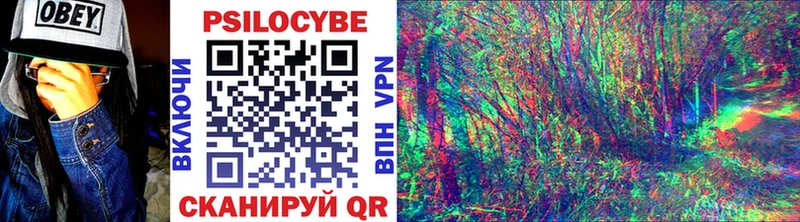 Галлюциногенные грибы Psilocybine cubensis  площадка наркотические препараты  Дубна 